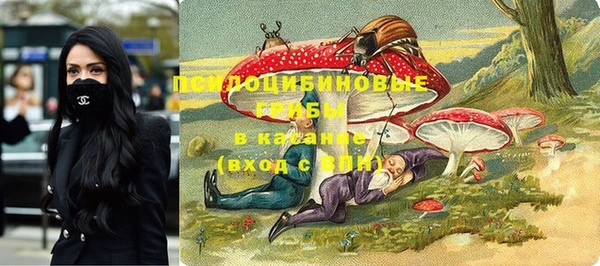 МДПВ Ладушкин