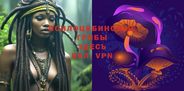 МДПВ Ладушкин